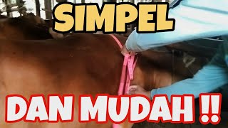 Mengukur berat badan sapi dengan Aplikasi EasyCow screenshot 4