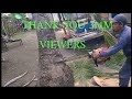 Dangerous cutting of coconut tree hitting the native house  #Frednelvlog