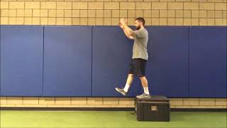 Depth Drop + PAUSE to Vertical Jump