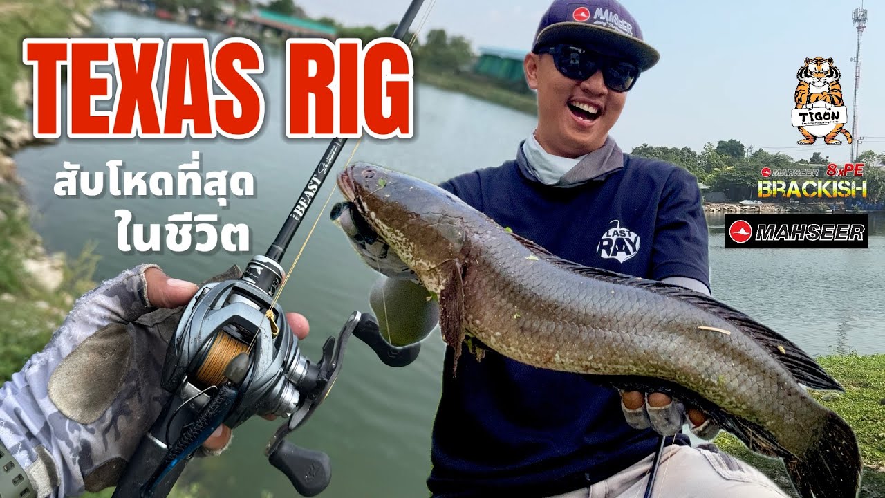 ช่อนน้ำลึกหาจนเจอช่อนใหญ่ บ่อบึงวัชระ