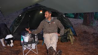 CAMPING in Heavy RAIN STORM with Dog - ASMR screenshot 3