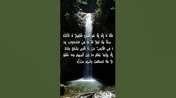 اية الكرسي سورة البقره #آية_الكرسي #سورة_البقرة #القرآن_الكريم