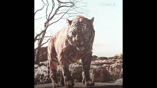 " He Left his Only Family🥀 " | Jungle Book | Alok, Alan Walker - Headlights #edit #shortsfeed