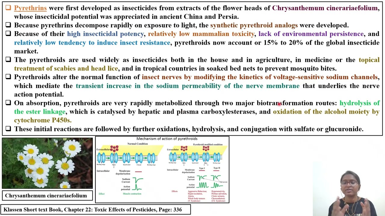 DABT Topic_Pyrethroid Type I and Type II Comparison