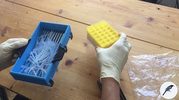 3D printable pipette tip sorting device 