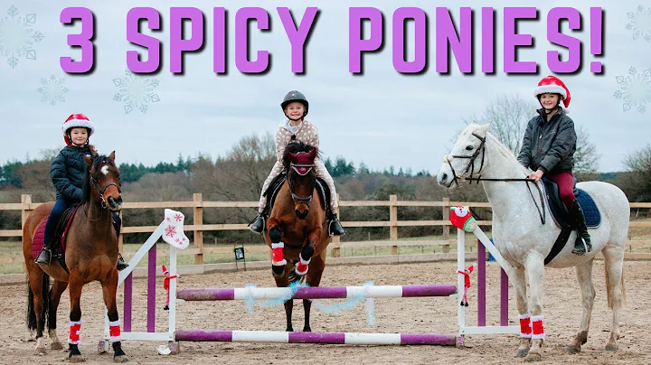 3 SPICY PONIES! CHRISTMAS JUMPING AT MY FRIENDS HO...