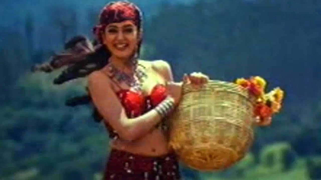 Rakshakudu Songs   Chanduruni Takinadi   Nagarjuna Sushmita Sen