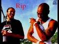 Makaveli Kadafi The Ultimate Hit Em Up Remix
