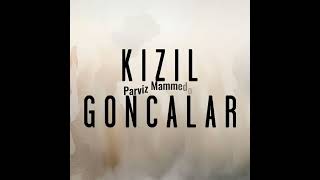 Kızıl Goncalar - Dizi Müzikleri Zeynep Resimi