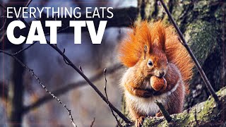 Fryhorn Everything Eats Episode 1 - Animals Eating by Fryhorn 2,674 views 1 year ago 18 minutes