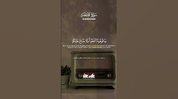 خشوع يُبكي الحجر – تلاوة نادرة