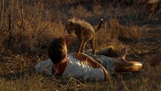 Curious Cheetah Cubs Climb on Kim | Man, Cheetah, Wild