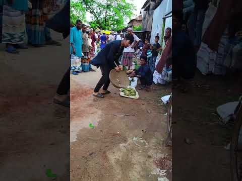 Mullah This Is Not Ticking