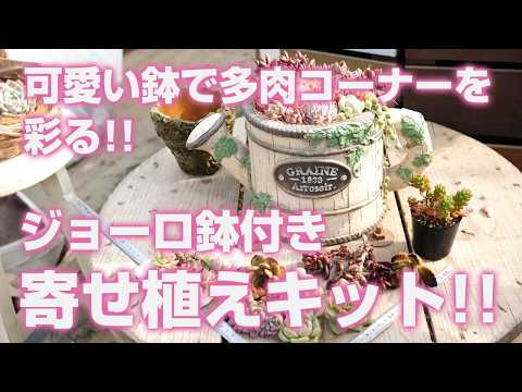 Succulents] Decorate your succulent corner with cute pots