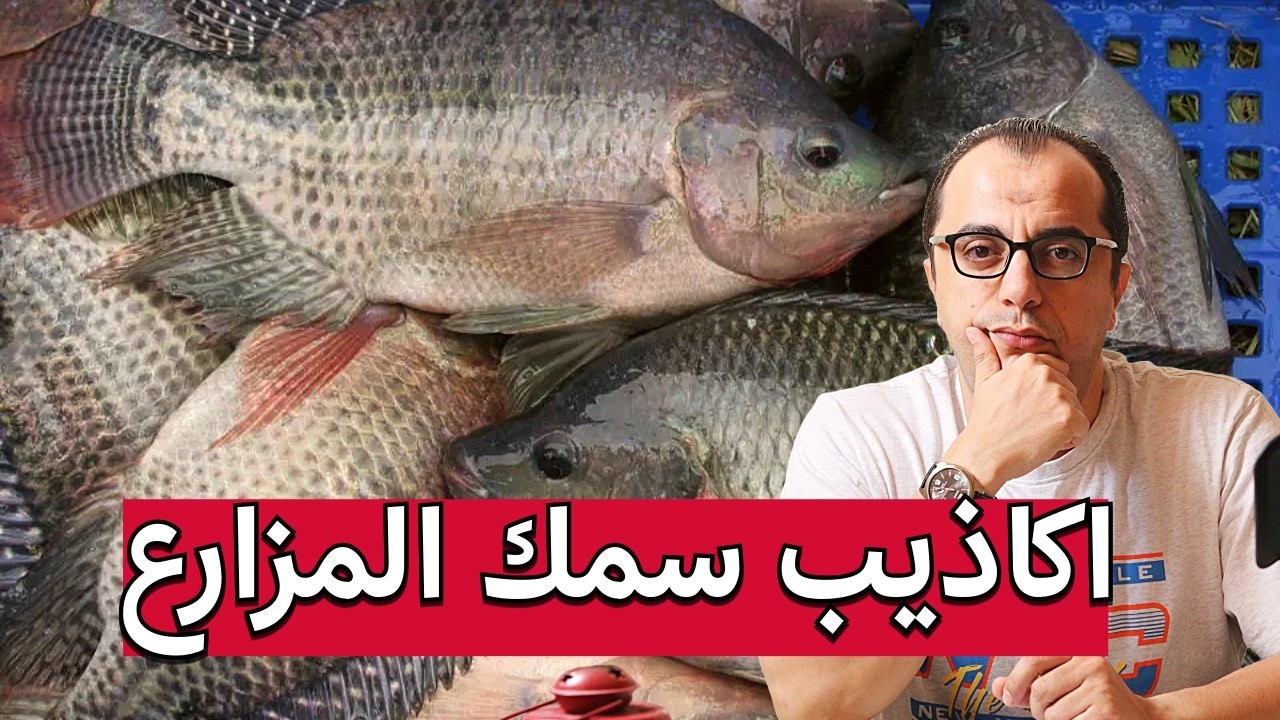 سمك المزارع - البلطي المزارع - هل سمك المزارع سمك غير حقيقي ⁉️