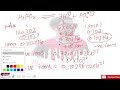 How to calculate the number of charges after dissociation|in URDU/HINDI|11th CHEMISTRY|CH#1|LEC-12