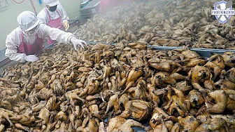 Extreme Job! Korean Chicken Soup Sold 4000 a Day / Korean food factory