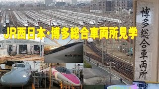 【山陽新幹線】JR西日本・博多総合車両所見てきました（19年12月8日）