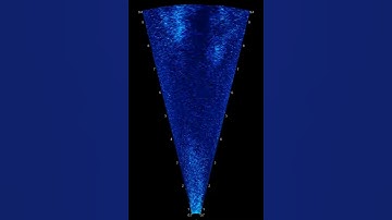 ARIS (Adaptive Resolution Imaging Sonar) video