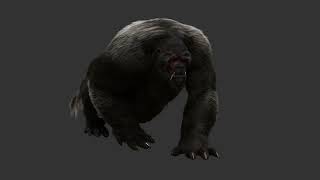 Creature CFX Reel Walk Cycle | Groom, Muscle Simulation & Solaris (Double Jump Academy Workshop)
