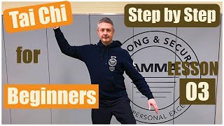 Tai Chi For Beginners Step By Step 03- Stork Cools Its Wings