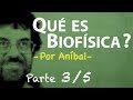 Qué es Biofísica? Parte 3/5 | Biofísica CBC | Física En Segundos - Por Aníbal -