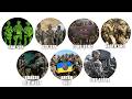 Every Ukrainian Special Ops Unit Explained in 15 Minutes
