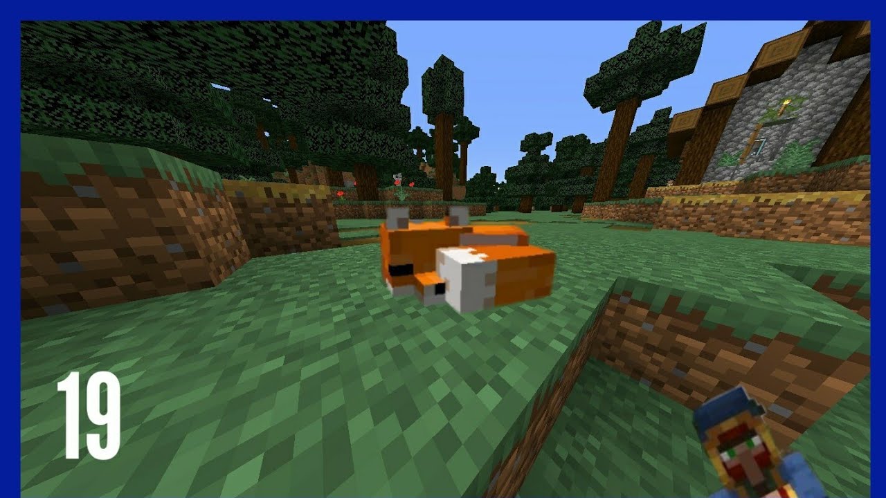 Vossen ! #19 Minecraft survival - YouTube
