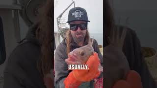Crab fisherman catches something unusual