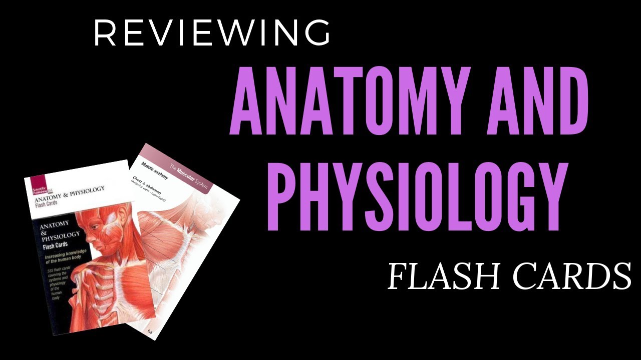 reviewing-anatomy-and-physiology-flash-cards-youtube