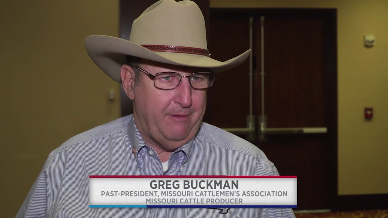 Why are you Attending the NCBA Legislative Conference?