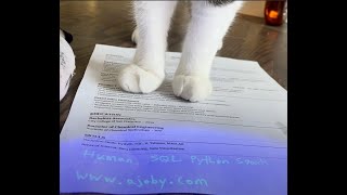 Hidden keywords on ajoby