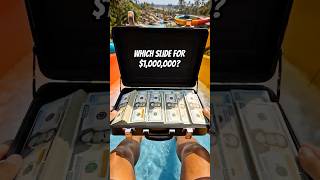 Which Waterslide Would You Ride for $1,000,000? 🎢💰 #challenge #shorts