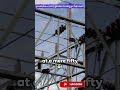 How Wave Trap works in Power System? #electricity #electricalengineering #electrical #electrology