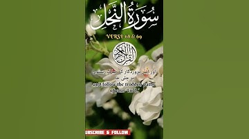 Quran | Surah An-Nahl | سورة النحل | Ayat 68-69 | Urdu/English Translation | #islam #viral