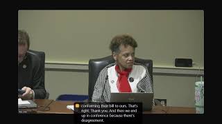 HGO Committee Session, 4/2/2025 #1