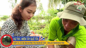 Miền Tây Quê Tôi Tập 6 - NHẤP CÁ LÓC MẸ ĐEM NƯỚNG TRUI NGON BÁ CHÁY [GRILLED SNAKEHEAD FISH]