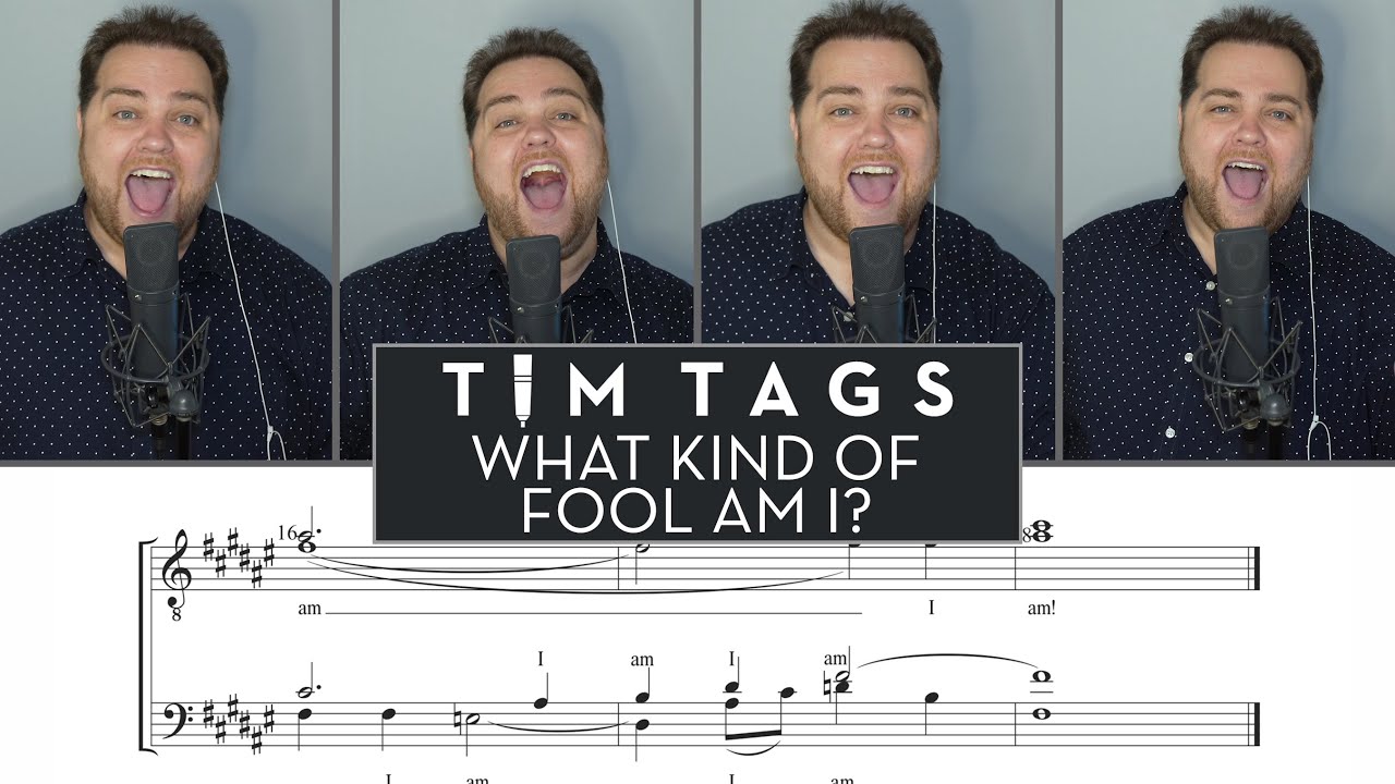 what kind of fool am I? what kind of fool am I?