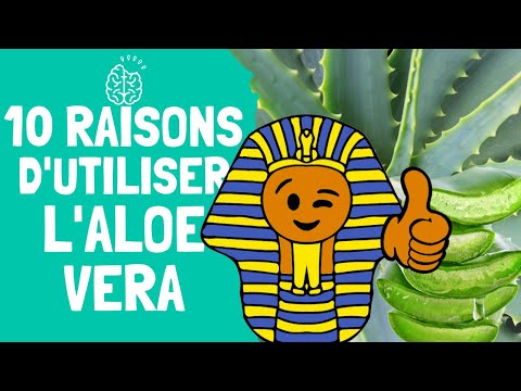 10 RAISONS D&rsquo;UTILISER L&rsquo;ALOE VERA 🍃