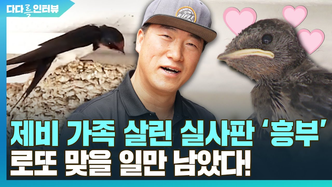 [다다를 인터뷰] 로또 맞을 일만 남았다!…제비 가족 살린 실사판 '흥부' / 연합뉴스TV (YonhapnewsTV)