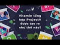 Sản xuất Vitamin tổng hợp ProjectV