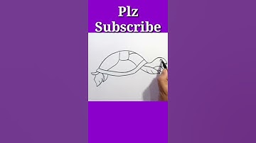 Tortoise Drawing #shorts