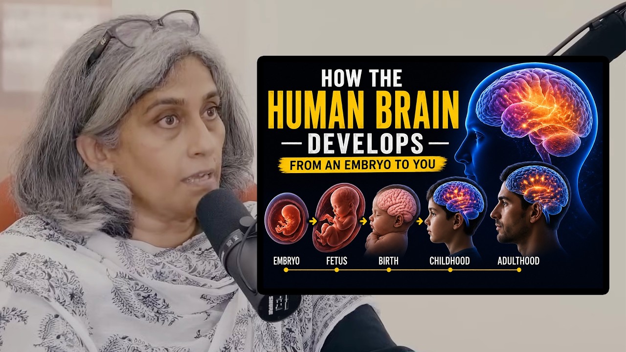 neuroscience-101-how-does-the-human-brain-develop-youtube
