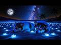 (No Ads ) Healing Music For Deep Sleep • Anxiety Relief, Melatonin Release • Stop Overthinking10