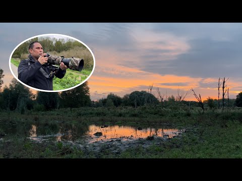Natuurfotografie in de