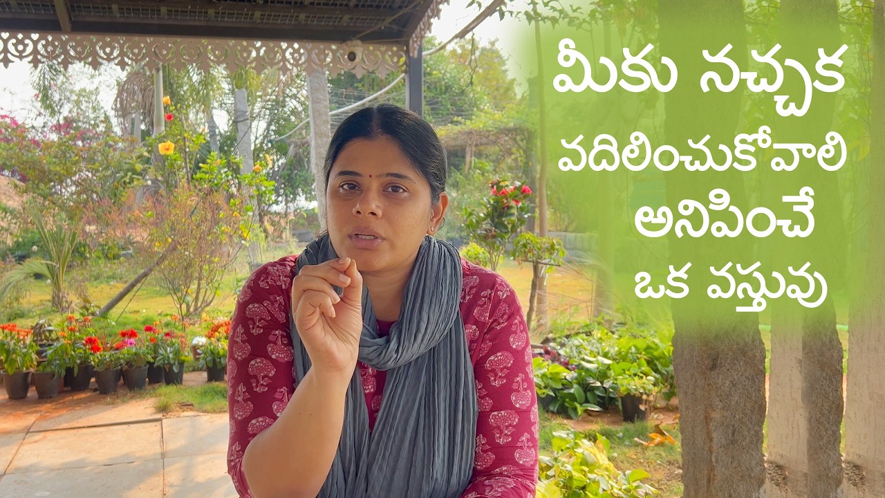 అస్సలు ఇష్టం లేక నేను వదిలించుకోవాలనుకునే ఒక వస్తువు..| అలాగే మీకూ ఉండి ఉంటుంది కదా!|BLikeBindu