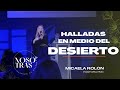 HALLADAS EN MEDIO DEL DESIERTO // Pastora Micaela R.