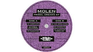 Molen - The Simulation
