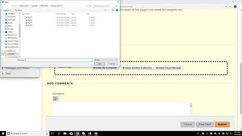 Submitting Assignments in Blackboard