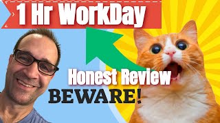 1 Hr WorkDay Review Beware Especially beginners in mmo 🤑😁😖🙀  Honest Review